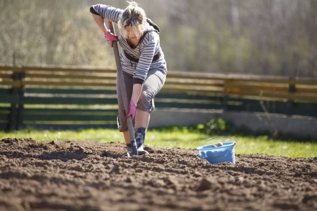 ColdirettiCremona Giovani, 3200 imprese in campi lombardi Rosa il 22 per cento delle aziende under 35