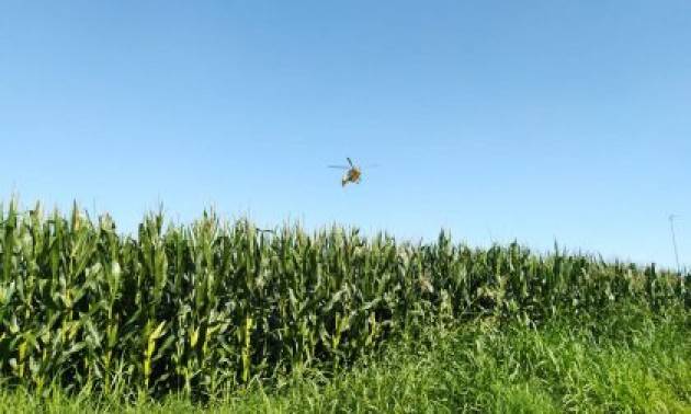 CREMA - CADE DA MOTO AL CROSSODROMO: ELISOCCORSO A CASALETTO