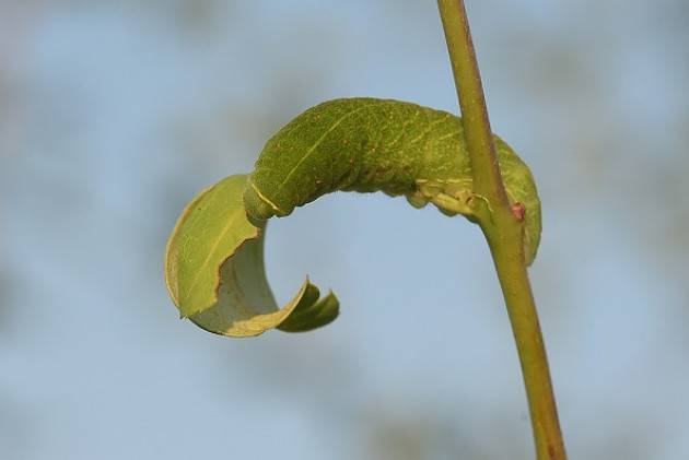 Conclusione del corso di fotografia a Crema | A. Dellera