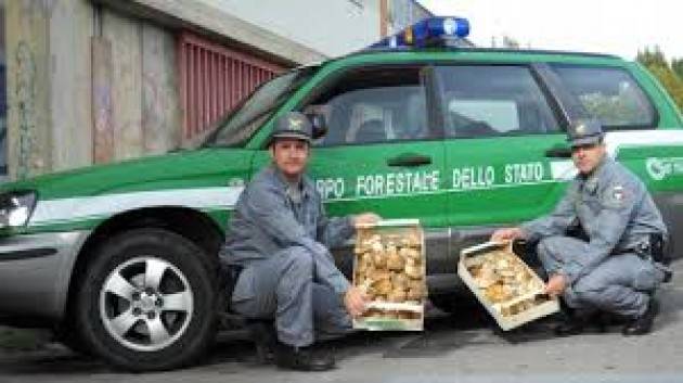 Approvazione mozione a Pianengo (CR) per il ripristino del corpo forestale dello stato