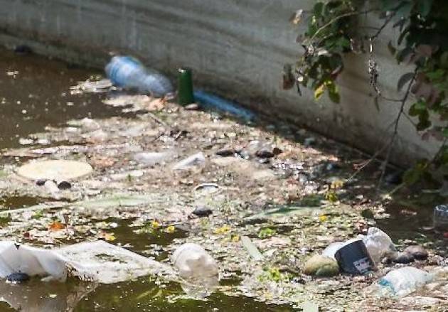 Codacons CREMONA: DEGRADO NELLA FONTANA DI PIAZZA ROMA
