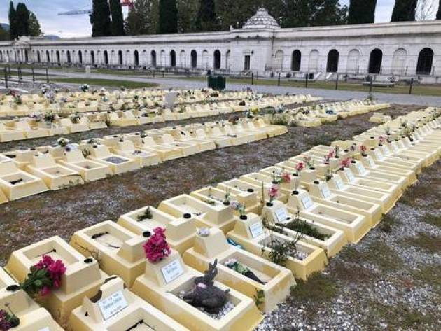 Anche a Brescia cimitero feti