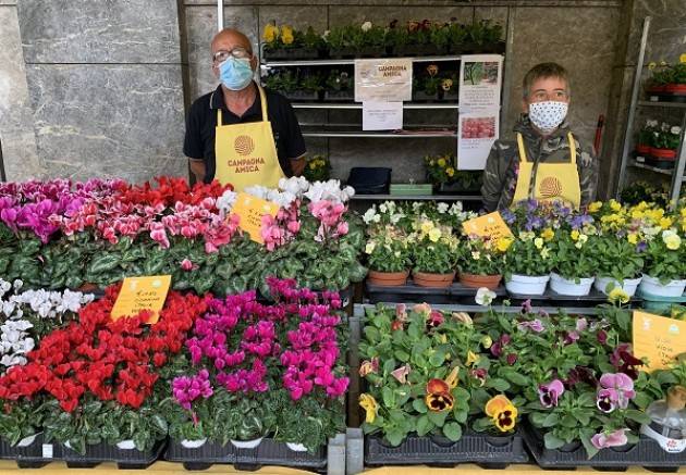 “Martedì fiorito” a Cremona: domani fiori e cibi di stagione al mercato di Campagna Amica