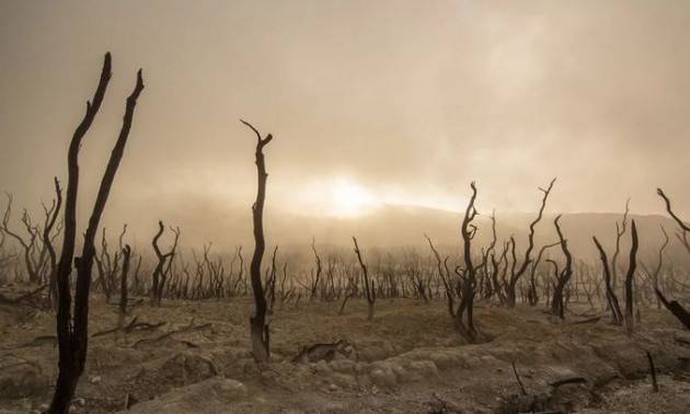 Nel 2019 record di incendi in Europa e Mediterraneo