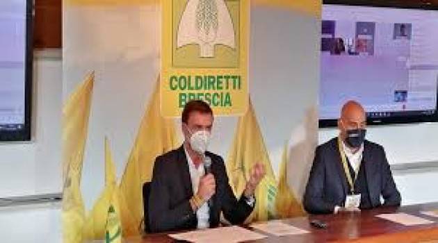 Filiera agroalimentare bresciana: le produzioni tengono ma il reddito precipita  