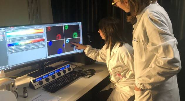 MALATTIE GENETICHE RARE: NUOVO STUDIO ITALIANO SULLA SINDROME KABUKI