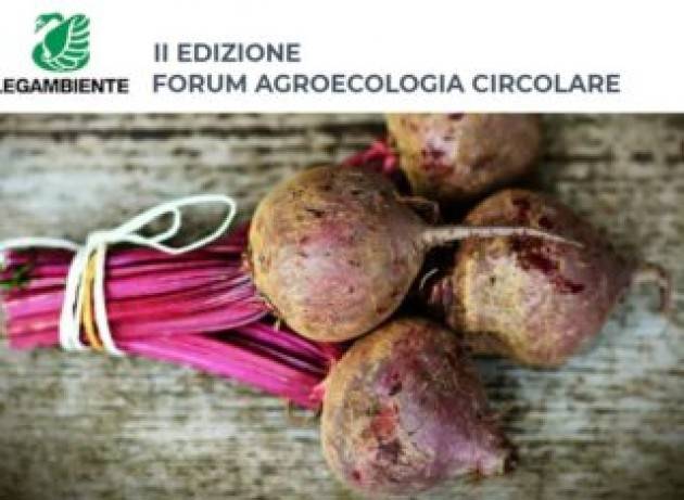 Agroecologia circolare: coltivare biodiversità e innovazione per far crescere il Green Deal europeo