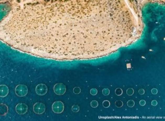 La fame si batte sotto il mare, coltivando gli oceani