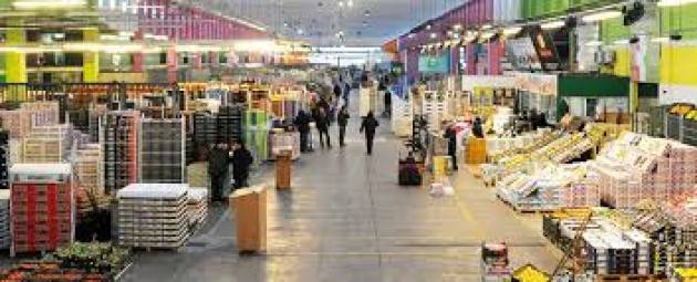 ALLARME PER COMMERCIO ALL’INGROSSO