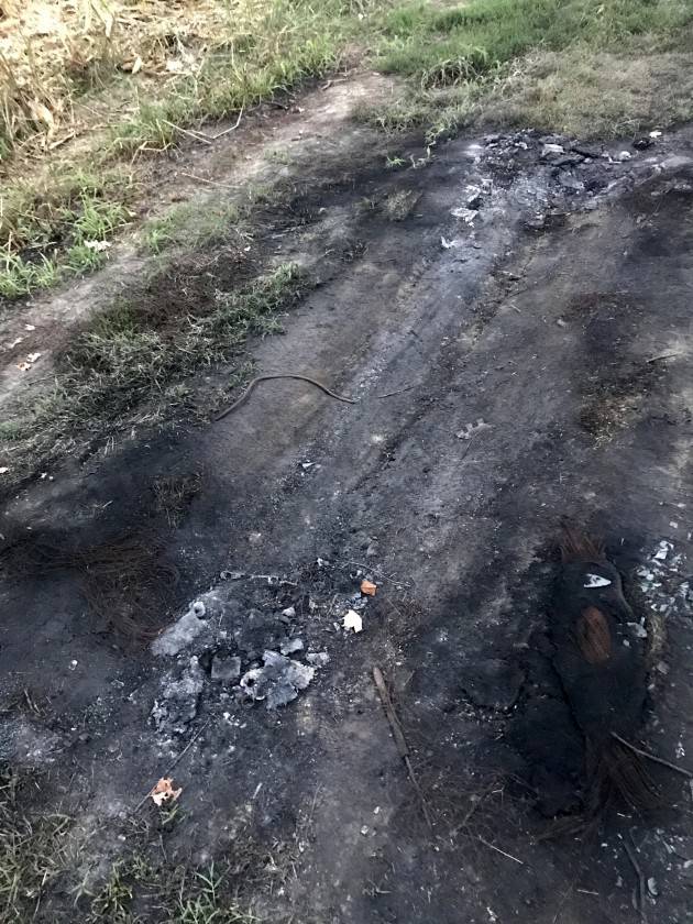 DELITTO VERGONZANA: PASINI ALLA MAMMA ''LAVAMI QUESTI PANNI E NON DIRE NULLA''