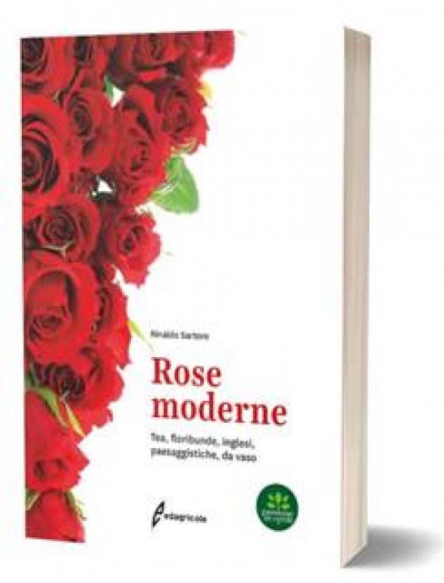 EDAGRICOLE ROSE MODERNE Tea, floribunde, inglesi, da vaso | Rinaldo Sartore