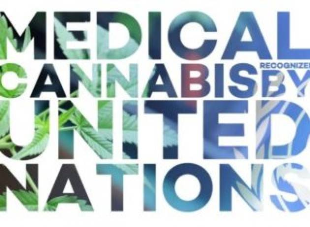 La marijuana non è un narcotico rischioso