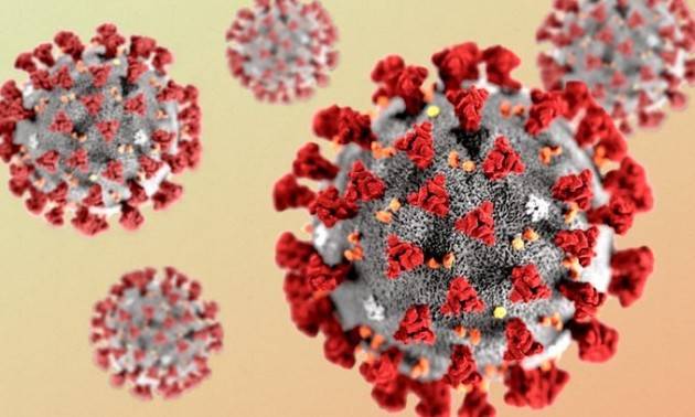 L’origine del coronavirus Sars-Cov-2 è ancora un mistero