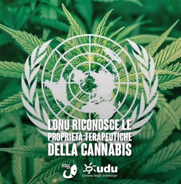 L’ONU riconosce  le proprietà terapeutiche della cannabis |Retestudenti