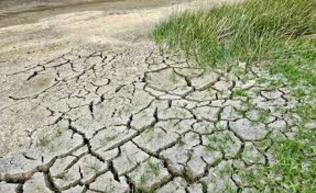 Coldiretti, addio al quinto anno più caldo di sempre: la “tropicalizzazione” provoca danni