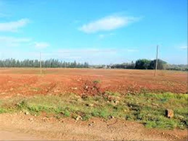 A Busto Arsizio 50 ettari di terreni comunali tornano all’agricoltura