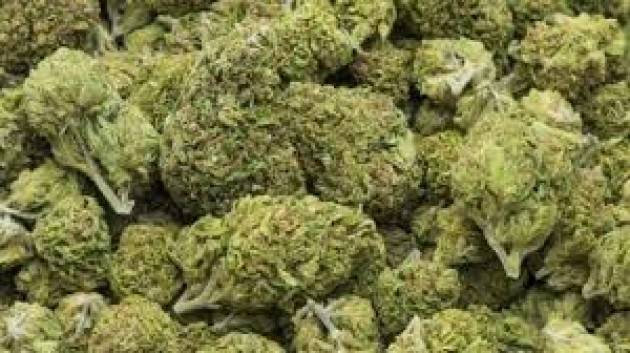 Arrestato con 2 kg marijuana, lo faccio per figli