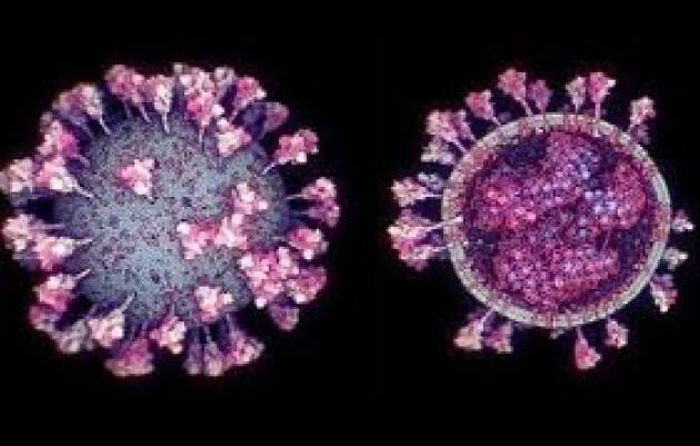 Variante Inglese Del Covid Trovata In Altri 5 Paesi