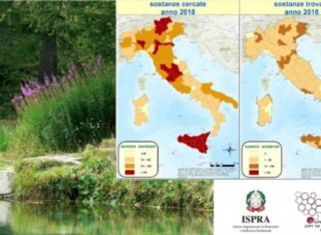 Rapporto nazionale pesticidi nelle acque: trovate 299 sostanze inquinanti, gli insetticidi quelle più diffuse