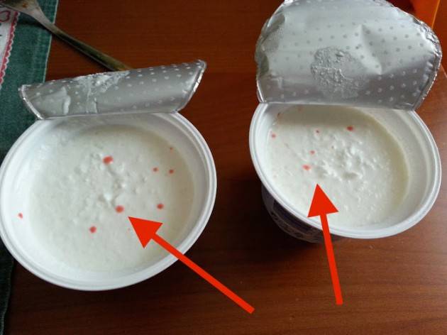 Cremona SEGNALAZIONI DI TRACCE DI MUFFA NEGLI YOGURT, COMUNE SUBITO ATTIVATO