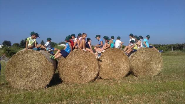 Formazione – nuovi corsi online per aziende agricole e fattorie didattiche