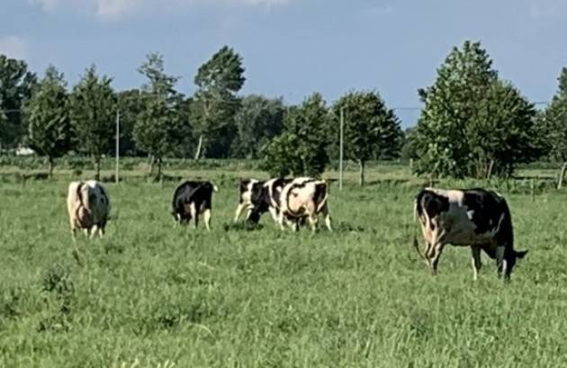 Coldiretti Lombardia  Pozzo d’Adda (MI) S. Antonio, benedizioni in cascina