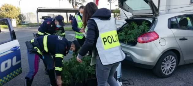 Trasportava hashish in auto: 60enne arrestato