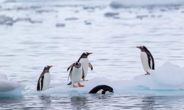 Come sarà il 2021 del clima, tra notizie buone e meno