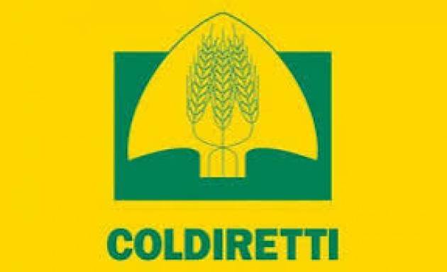 Coldiretti Varese: ''I nostri AgriMercati esempio virtuoso di sostenibilità green''