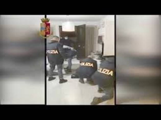 Rimini: vendita di cuccioli di cane online, arrestato truffatore