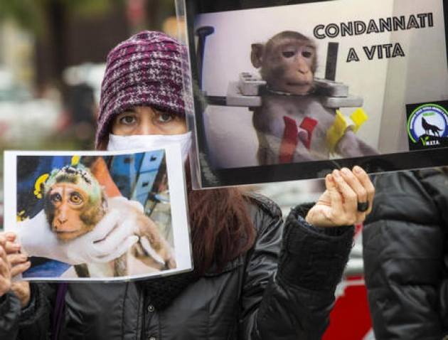 Test macachi: protesta degli animalisti a Milano