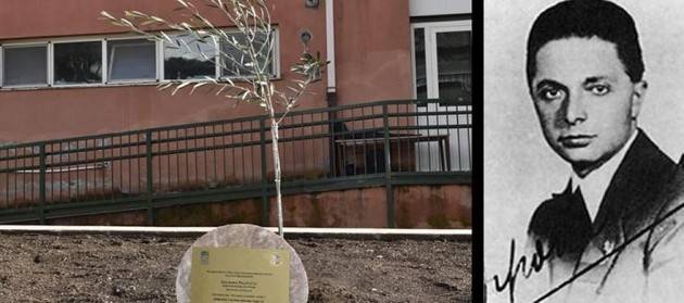 LABORATORIO DELLA MEMORIA: UN OLIVO IN RICORDO DI GIOVANNI PALATUCCI