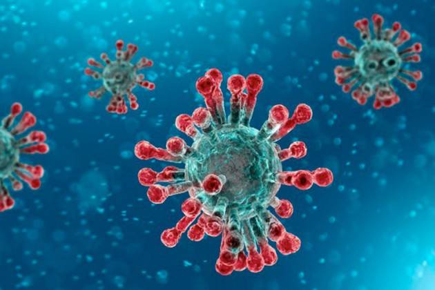 Il nuovo coronavirus ''simile'' al Sars-Cov2