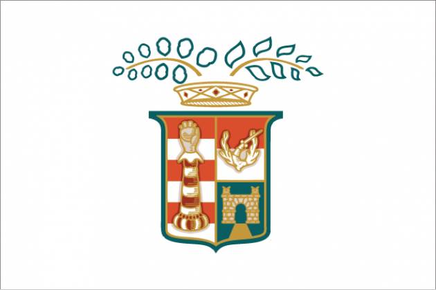 ELEZIONI DEL CONSIGLIO PROVINCIALE DI CREMONA IN DATA 28 MARZO 2021.