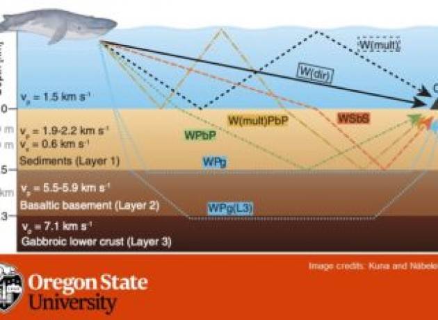 Usare i canti delle balenottere per gli studi sismici della crosta oceanica?