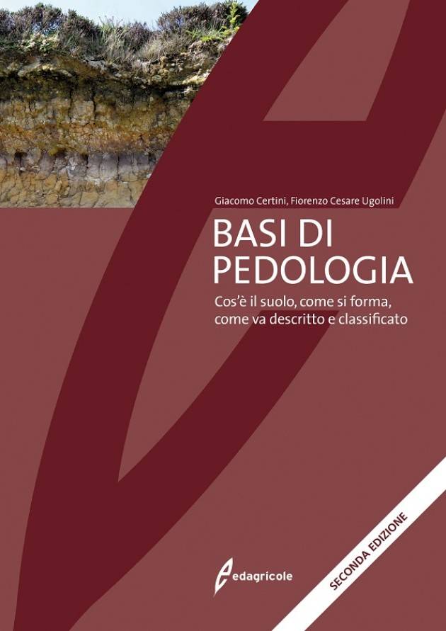  Edagricole BASI DI PEDOLOGIA Cos'è il suolo, come si forma....