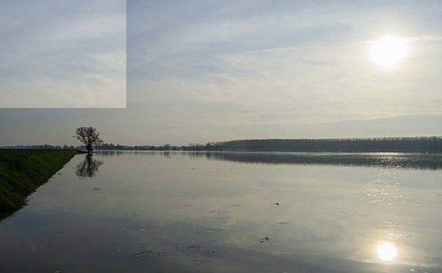 LA GOLENA E IL SUO POTENZIALE ECOLOGICO | Gerelli Sante (Gussola)