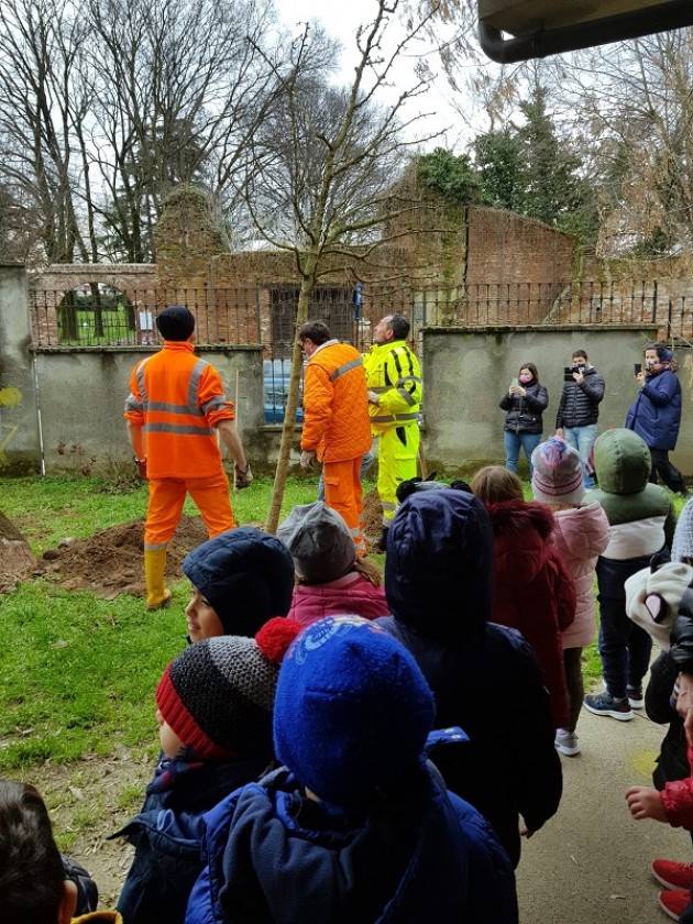 Cremona UN NUOVO ALBERO NEL GIARDINO DELLA SCUOLA INFANZIA S. GIORGIO