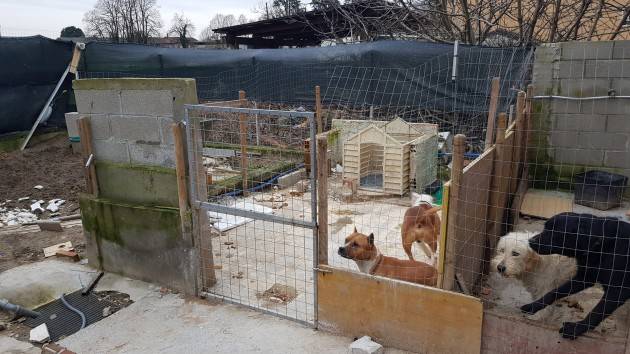 ANIMALI, CASA DEGLI ORRORI SCOPERTA NEL MILANESE DALLE GUARDIE ZOOFILE OIPA.