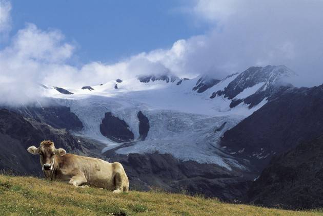 Calvatone Presentato il  progetto Climactive2050  per le aree rurali lombarde 
