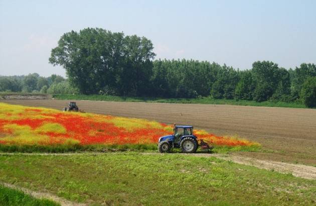 Calvatone Presentato il  progetto Climactive2050  per le aree rurali lombarde 
