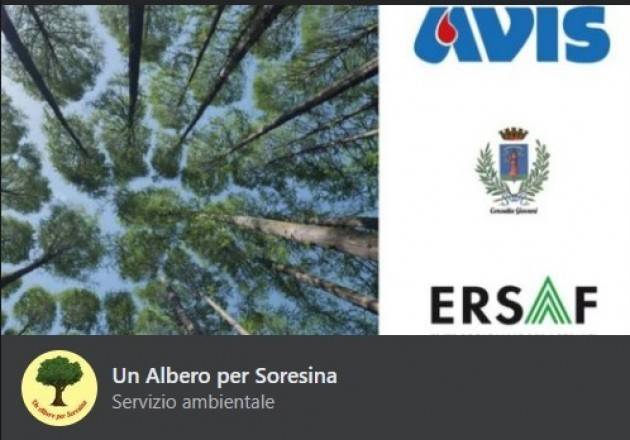 Adottare un nuovo albero per Soresina. Il sindaco ringrazia