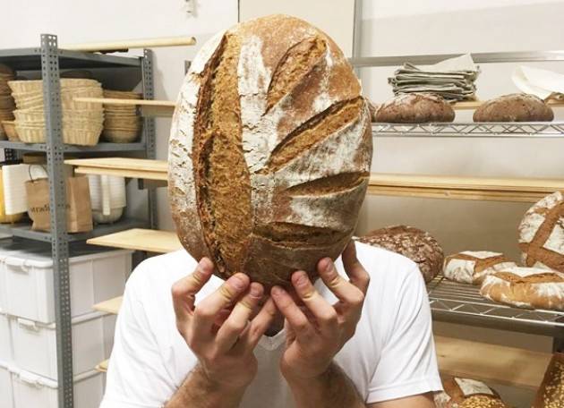 Cremona Agropolis NELLA CASCINA MARASCO NASCE IL PANE DI AGRO