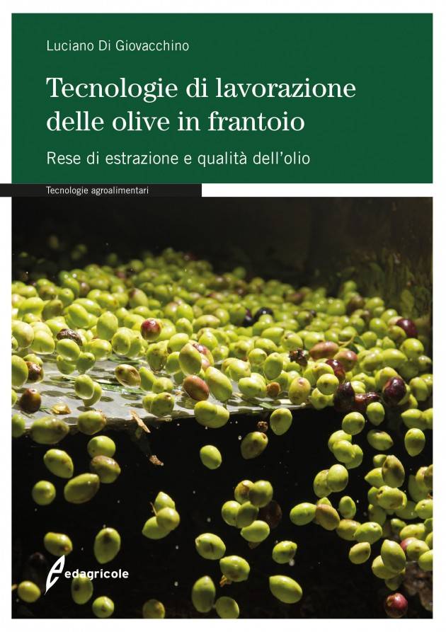 EDAGRICOLE TECNOLOGIE LAVORAZIONE OLIVE IN FRANTOIO | Luciano Di Giovacchino