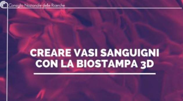 CREARE VASI SANGUIGNI CON LA BIOSTAMPA 3D