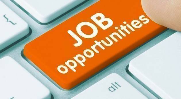 Cremona,Crema,Soresina e Casal.ggiore 16/03/2021 Attive 132 offerte lavoro CPI