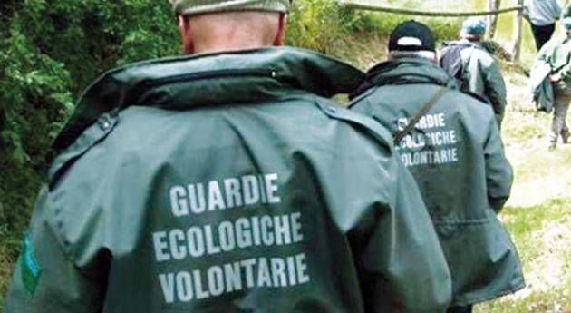 Gev mancanti sul casalasco. Degli Angeli (M5s Lomb)deposita un’interrogazione