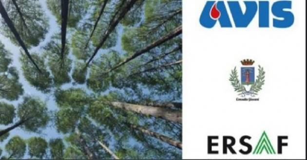 Un albero per Soresina