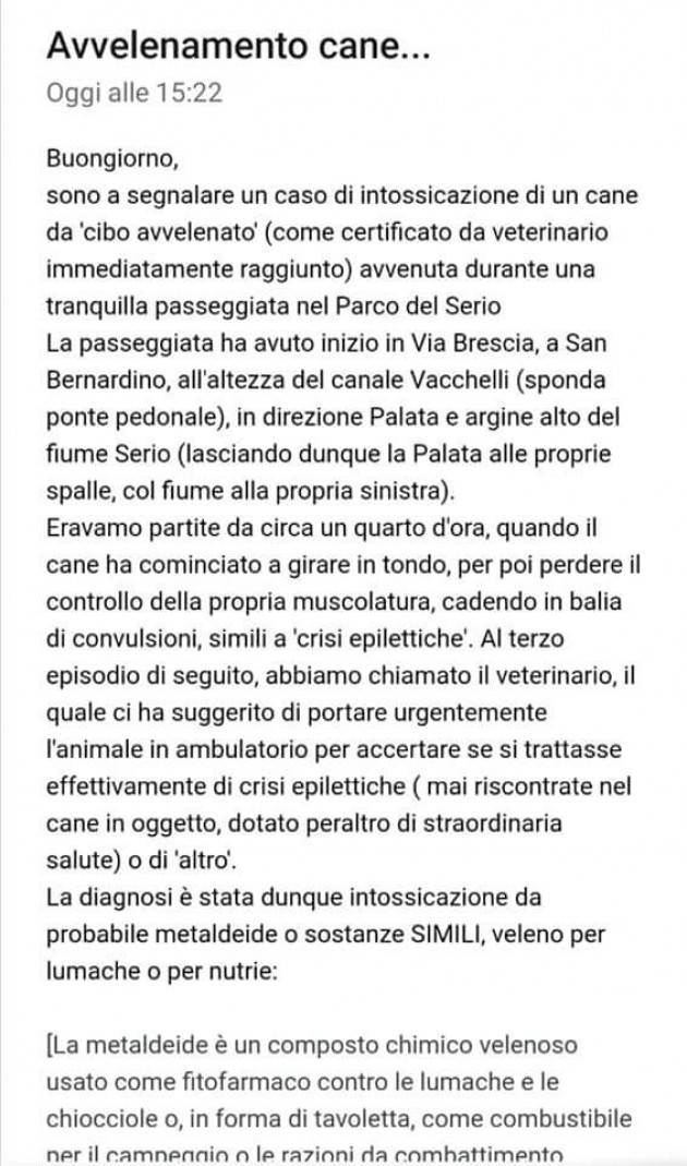 CANE AVVELENATO CON VELENO PER NUTRIE 