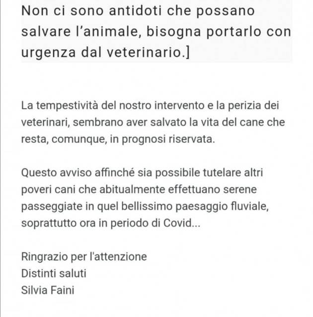 CANE AVVELENATO CON VELENO PER NUTRIE 